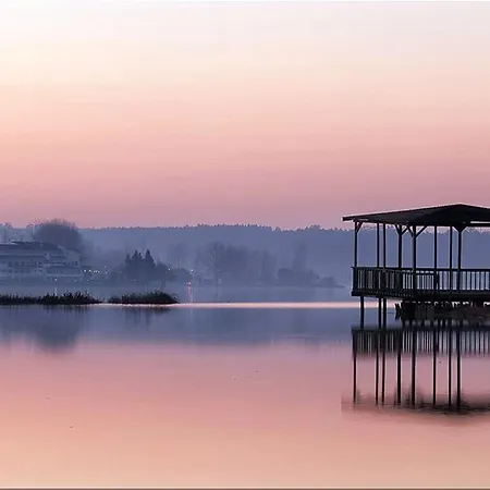 Hotel Do Parque, Boutique - Curia