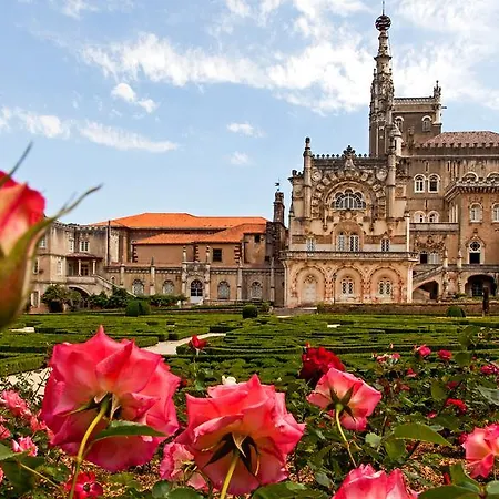 Do Parque, Boutique -