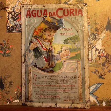 Hotel Do Parque, Boutique - Curia