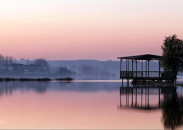 Hotel Do Parque, Boutique - Curia