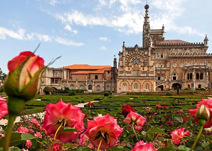 Do Parque, Boutique -