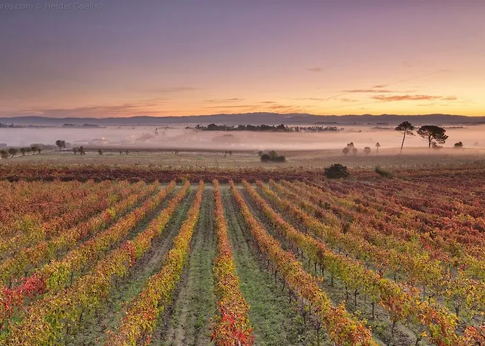 Hotel Do Parque, Boutique -